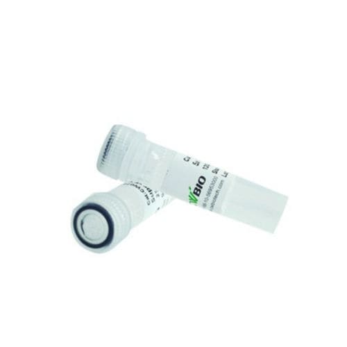 Reactivo proteasa - CW2572L - Jiangsu CoWin Biotech Co.,Ltd - proteinasa K / para microbiología / de pH
