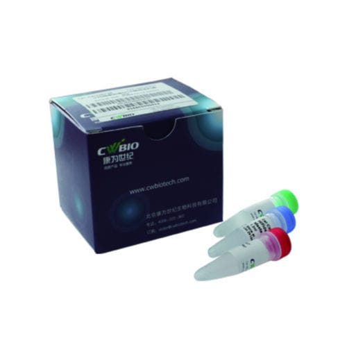 Kit de reactivos enzima - Jiangsu CoWin Biotech Co.,Ltd - ADN polimerasas / NGS / para secuenciación de ADN