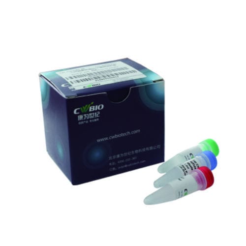 Kit de reactivos enzima - Jiangsu CoWin Biotech Co.,Ltd - ADN polimerasas / NGS / de preparación de bancos de ADN