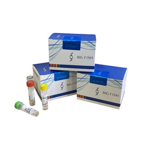 Kit de prueba para enfermermedades infecciosas - Hangzhou Bigfish Bio-tech Co., Ltd. - para porcinos / en tiempo real / para PCR