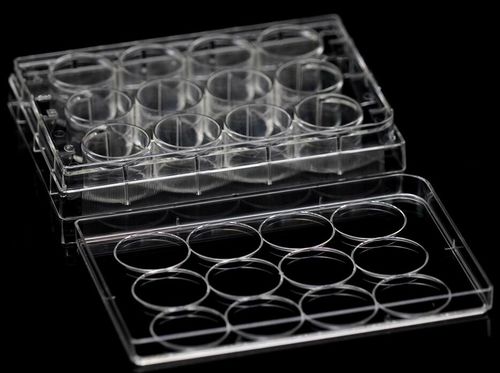 Microplaca de laboratorio - MGN-C07 - MyGenostics Inc. - de cultivo tisular / de células