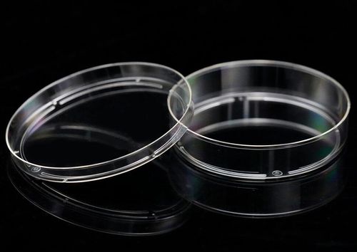 Placa de Petri - MGN-C08 - MyGenostics Inc.