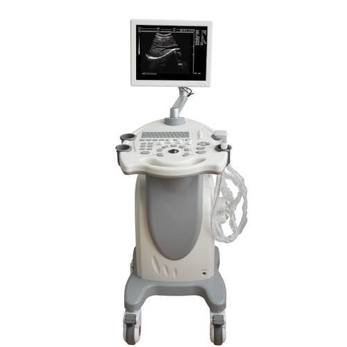 Ecógrafo con soporte - MDK-9300 - Mianyang United Ultrasound Electronics - para ecografía polivalente / blanco y negro / 15 pulgadas