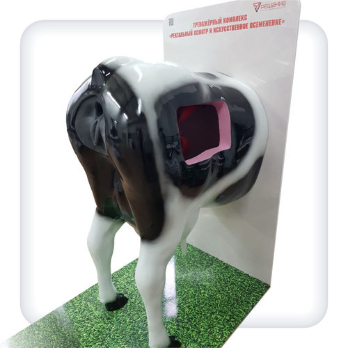Simulador de formación - B1002 - SATC solution - de palpación rectal / veterinario / de bóvido