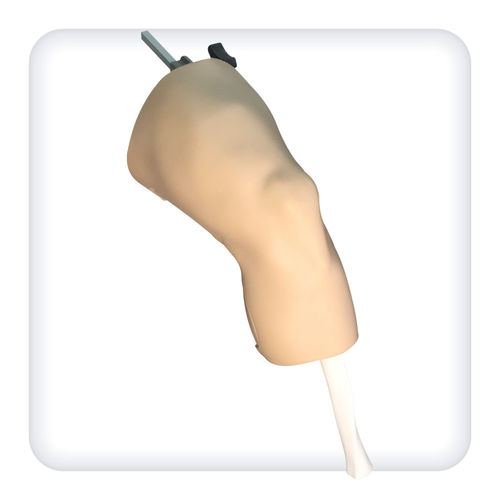 Simulador de artroscopia - M1127 - SATC solution - quirúrgico / de anatomía / de rodilla