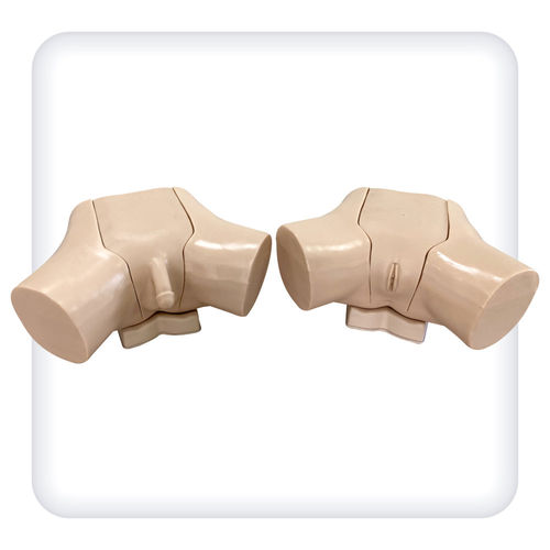 Simulador de formación - M1099 - SATC solution - de cateterismo / para cuidados urológicos / de anatomía