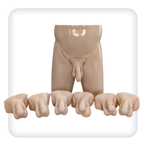 Simulador de palpación testicular - M1098 - SATC solution - para cuidados urológicos / de anatomía / masculino