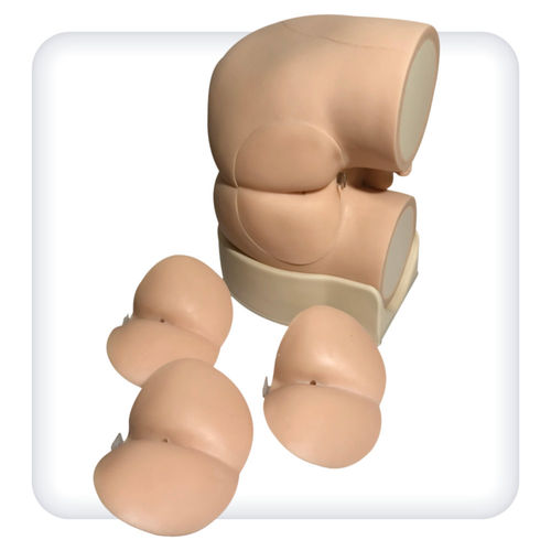 Simulador de palpación de la próstata - M1144 - SATC solution - de palpación rectal / para cuidados urológicos / masculino