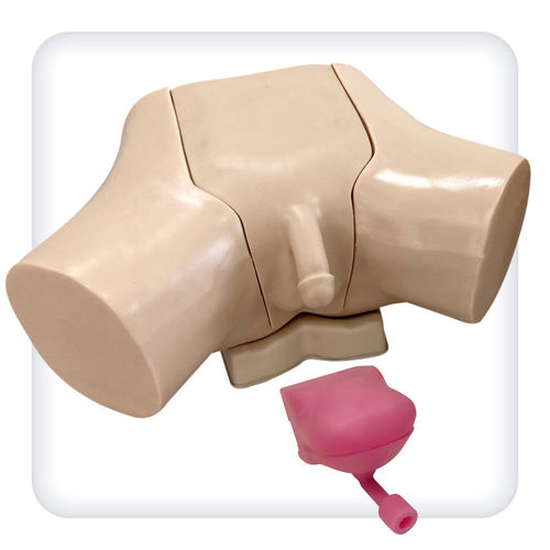 Simulador de formación - M1132 - SATC solution - de cateterismo / para cuidados urológicos / de hombre