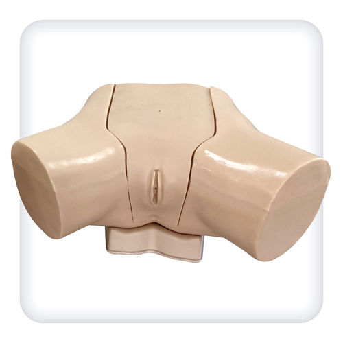 Simulador de cateterismo urinario - M1114 - SATC solution - para cuidados urológicos / femenino / de torso