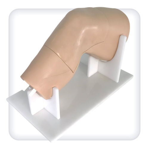 Modelo anatómico de articulación - M1110 - SATC solution - de rodilla / miembros inferiores / de cirugía