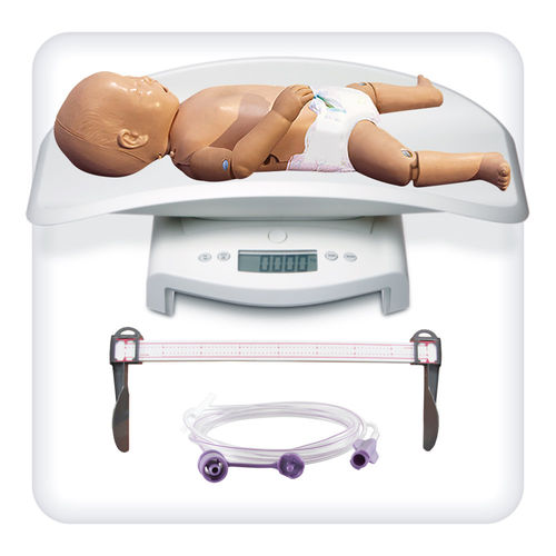 Modelo anatómico de articulación - M1082 - SATC solution - de cabeza / facial / nasal