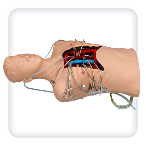 Simulador para sutura - M1109 - SATC solution - para canulación intravenosa / para cirugía cardíaca / de torso