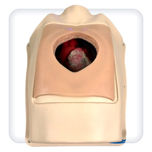 Simulador de formación - M1143 - SATC solution - de frecuencia cardíaca / para cirugía cardíaca / de anastomosis