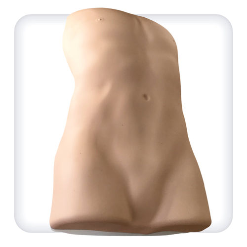 Simulador de formación - M1135 - SATC solution - de palpación / de auscultación / de gastroscopia
