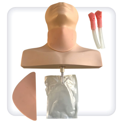 Simulador de cricotiroidotomía - M1133 - SATC solution - para cuidados de urgencias / de cabeza / de poliuretano