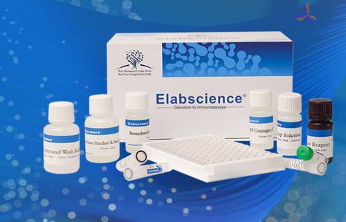 Kit de prueba para la investigación - QuicKey Pro™ - Elabscience Biotechnology Inc. - para interleucinas 6 / de densidad / de suero