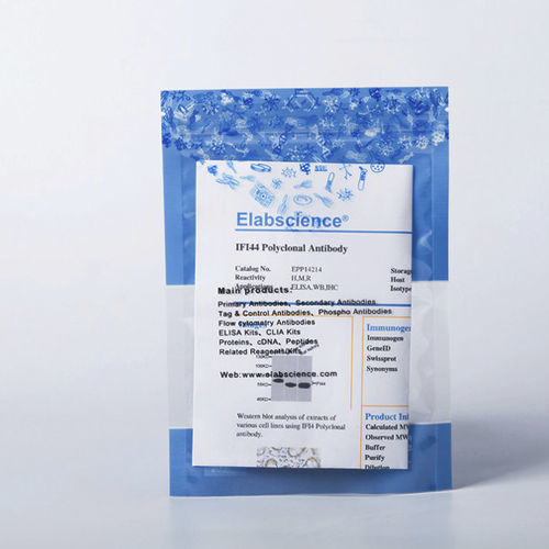 Reactivo en solución - E-AB-V1002 - Elabscience Biotechnology Inc. - anticuerpo monoclonal / de apoptosis / para western blot