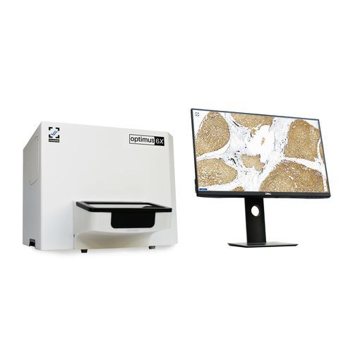 Digitalizador de portaobjetos de microscopio - Optimus - 6  - Morphle Labs - automático / de campo claro / de alta velocidad
