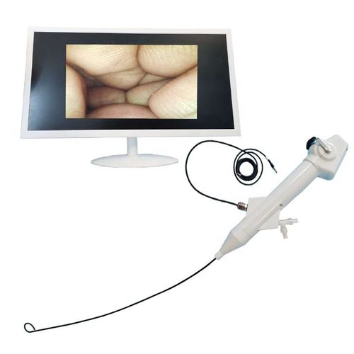 Videoureteroscopio de un solo uso -  Ureter Flexible Nephroscope - Tianjin Guyufan Biological Technology