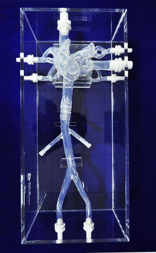 modelo anatómico de vena cava - Trando 3D Medical Technology