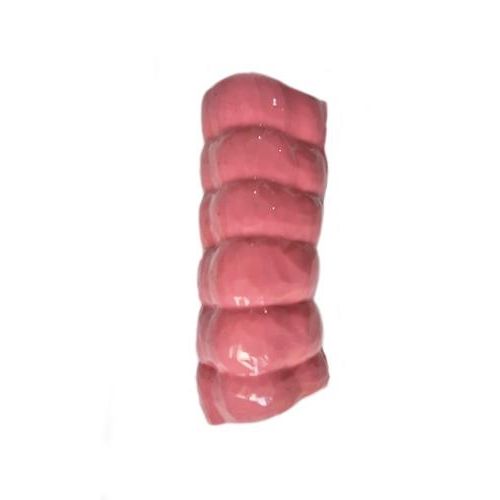 Modelo anatómico de músculo - HSX007 - Trando 3D Medical Technology - intestino grueso / cuerpo / quirúrgico