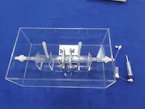 Modelo anatómico de cuerpo entero - Trando 3D Medical Technology - de formación / transparente