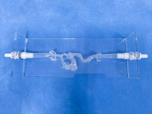 Modelo vascular de vasos sanguíneos - SDL004 - Trando 3D Medical Technology - cerebral / intracraneal / para cirugía vascular