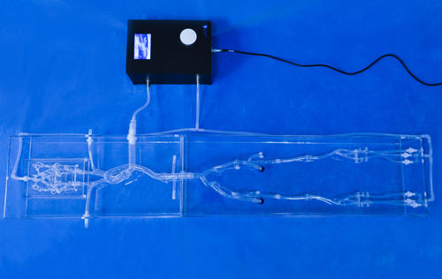Modelo anatómico para neurología - FA003D - Trando 3D Medical Technology - de arteria femoral / para cirugía mínimamente invasiva / de formación