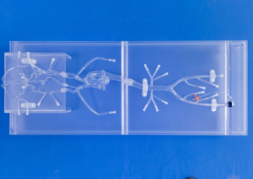 modelo vascular para neurología - Trando 3D Medical Technology