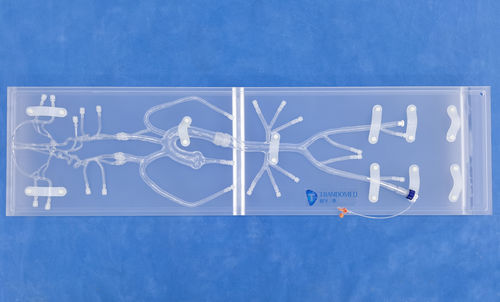 modelo vascular de neurocirugía - Trando 3D Medical Technology