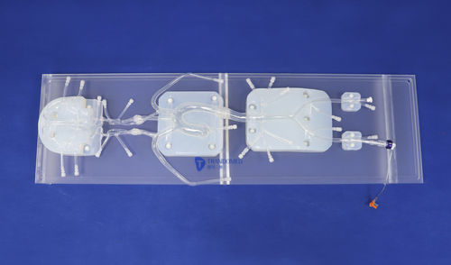 Simulador endovascular - SJ001D-010 - Trando 3D Medical Technology - de formación / para intervención neurovascular / para cirugía vascular