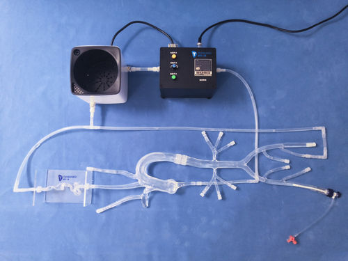 Modelo vascular intracraneal - XXS011 - Trando 3D Medical Technology - de vasos sanguíneos / de arteria / de arteria femoral