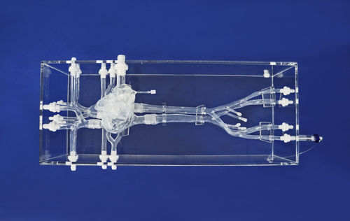 modelo anatómico de corazón - Trando 3D Medical Technology