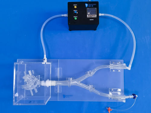Simulador de formación - XX013D - Trando 3D Medical Technology - para sutura de heridas / para cirugía vascular