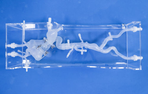 Modelo vascular cardíaco - XXD024 - Trando 3D Medical Technology - de vasos sanguíneos / de arteria / de arteria femoral