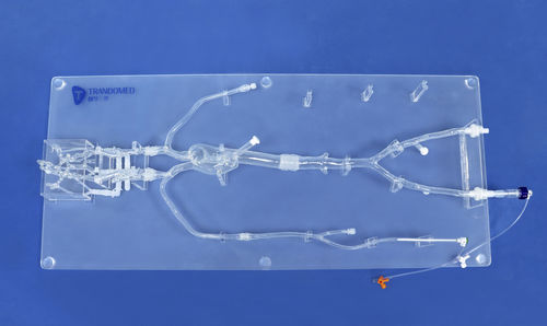 Modelo anatómico intracraneal - SJ001D-09 - Trando 3D Medical Technology - de cabeza / de arteria / de arteria femoral