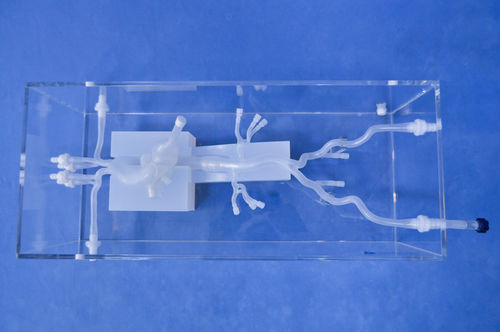 modelo anatómico cardíaco - Trando 3D Medical Technology
