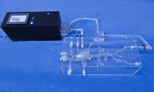 Modelo anatómico de corazón - XXS001 - Trando 3D Medical Technology - de vena cava / de vena / cuerpo