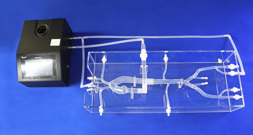 Modelo vascular cardíaco - XXD023 - Trando 3D Medical Technology - de vasos sanguíneos / de arteria / abdominal