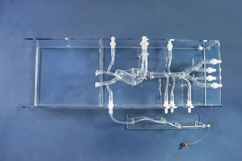 Modelo vascular cardíaco - XXD025 - Trando 3D Medical Technology - de vasos sanguíneos / de arteria / de arteria femoral