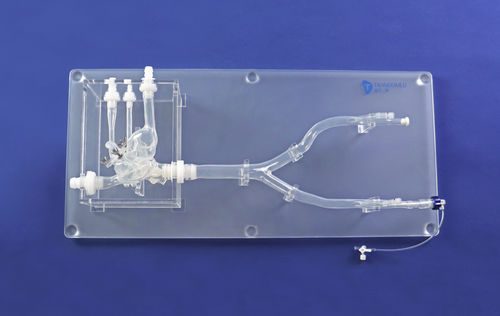 Modelo anatómico cardíaco - XX013D-1 - Trando 3D Medical Technology - para cirugía mínimamente invasiva / de formación / transparente