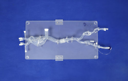 Modelo vascular de vasos sanguíneos - XXD019 - Trando 3D Medical Technology - de arteria / para cirugía mínimamente invasiva / de formación