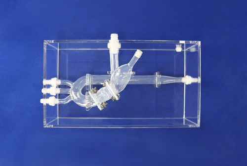 Modelo anatómico cardíaco - XXD015 - Trando 3D Medical Technology - torácico / para cirugía mínimamente invasiva / de formación