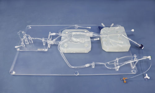 modelo anatómico de arteria - Trando 3D Medical Technology