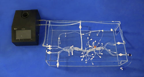 Modelo anatómico abdominal - FBS003 - Trando 3D Medical Technology - para cirugía mínimamente invasiva / de formación / transparente