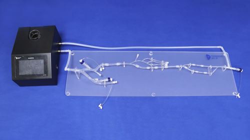 Modelo anatómico miembros inferiores - XXD003 - Trando 3D Medical Technology - para cirugía mínimamente invasiva / de formación / flexible