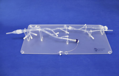 Modelo anatómico miembros inferiores - XZS001-1 - Trando 3D Medical Technology - para cirugía mínimamente invasiva / de formación / transparente
