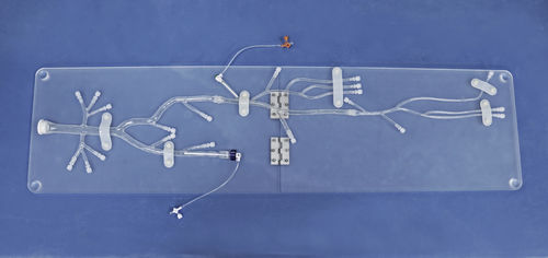 modelo anatómico miembros inferiores - Trando 3D Medical Technology