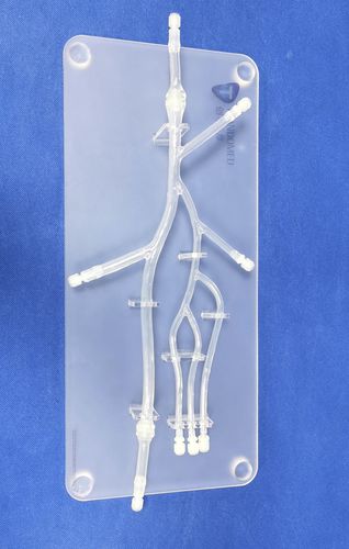 Modelo anatómico de pierna - XXD006 - Trando 3D Medical Technology - miembros inferiores / para cirugía mínimamente invasiva / de formación